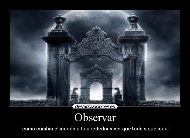 Observar - como cambia el mundo a tu alrededor y ver que todo sigue igual