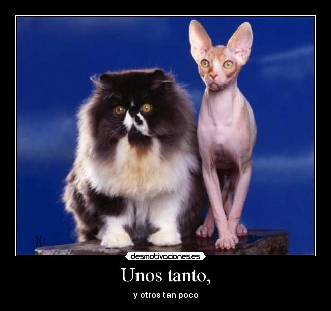 carteles 00489 desmotivaciones