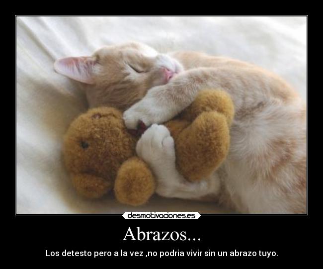 Abrazos... - Los detesto pero a la vez ,no podria vivir sin un abrazo tuyo.
