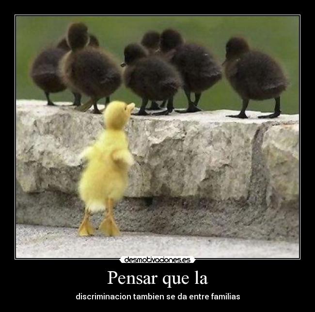 Pensar que la - discriminacion tambien se da entre familias