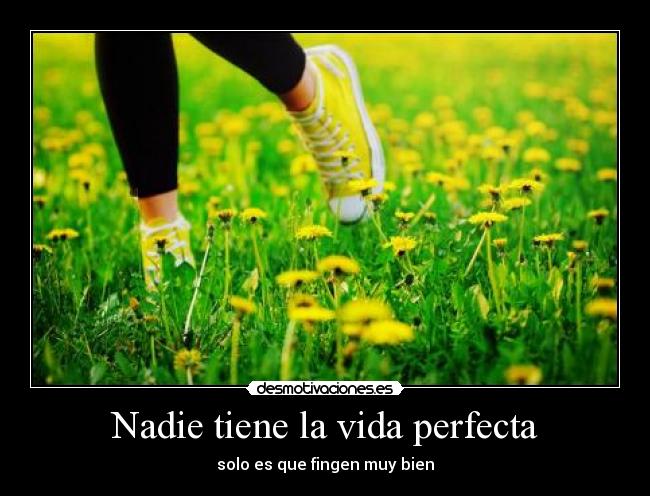 Nadie tiene la vida perfecta -