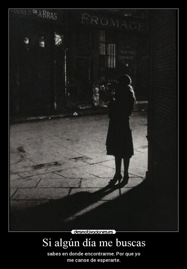 Si algún día me buscas -