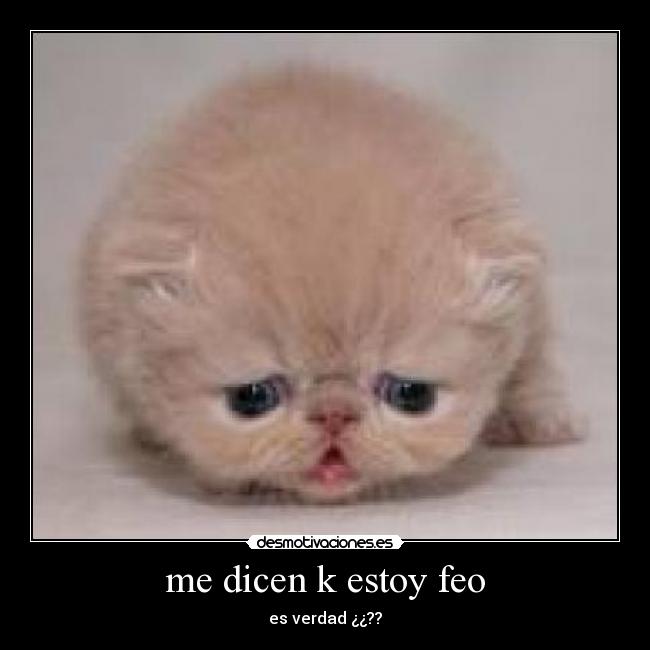 carteles nawwww desmotivaciones