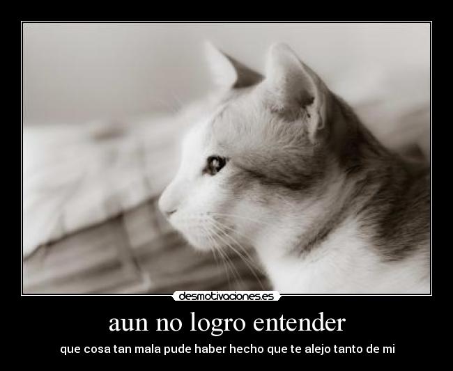 aun no logro entender -