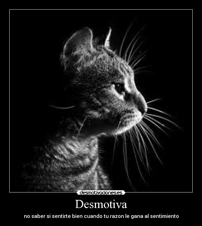 Desmotiva - 