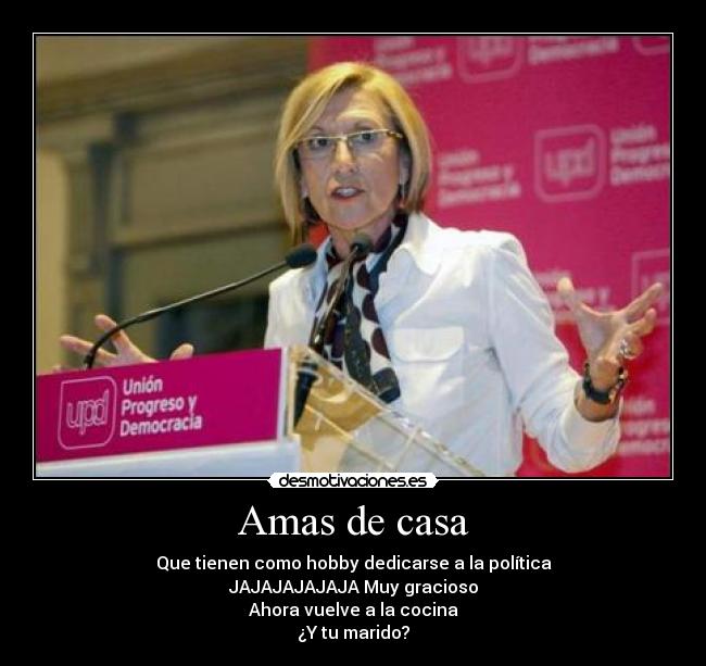 Amas de casa Desmotivaciones