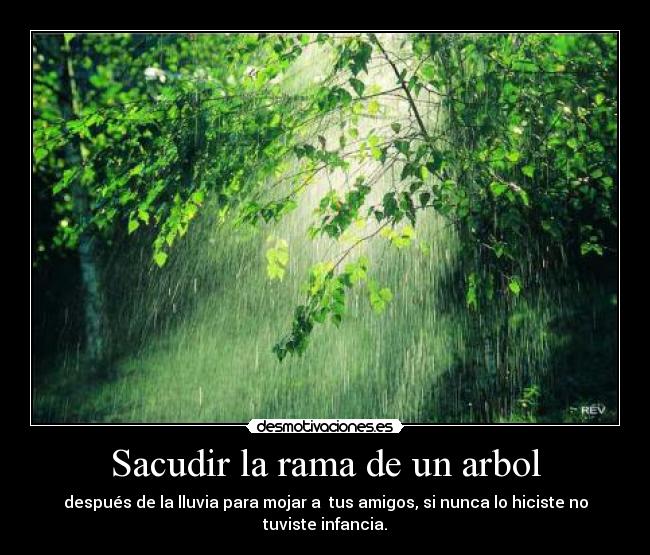 Sacudir la rama de un arbol - después de la lluvia para mojar a  tus amigos, si nunca lo hiciste no tuviste infancia.