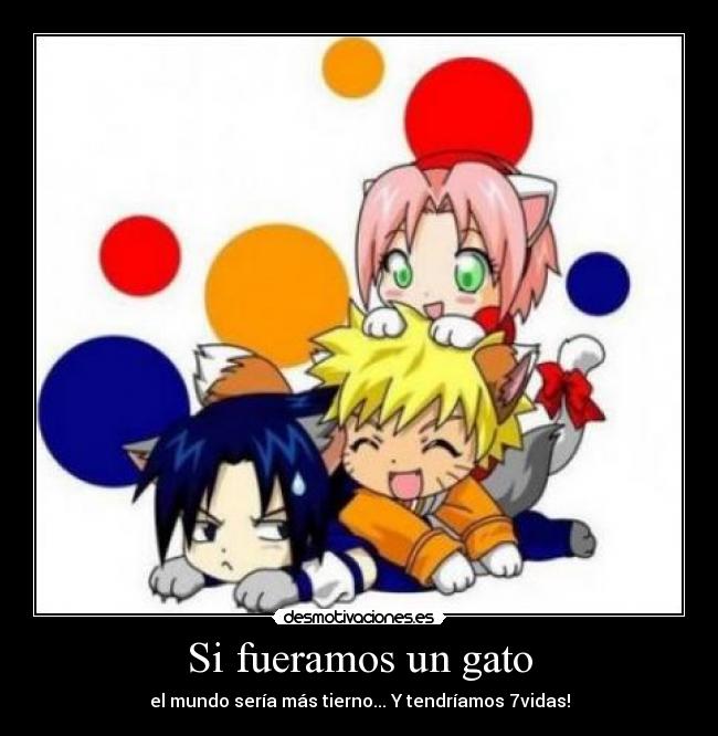 Si fueramos un gato - el mundo sería más tierno... Y tendríamos 7vidas!