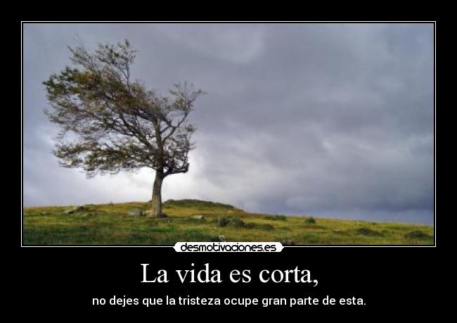 La vida es corta, - no dejes que la tristeza ocupe gran parte de esta.