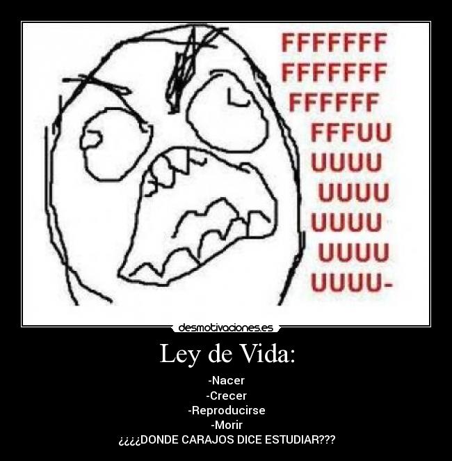 carteles vida ninguna desmotivaciones