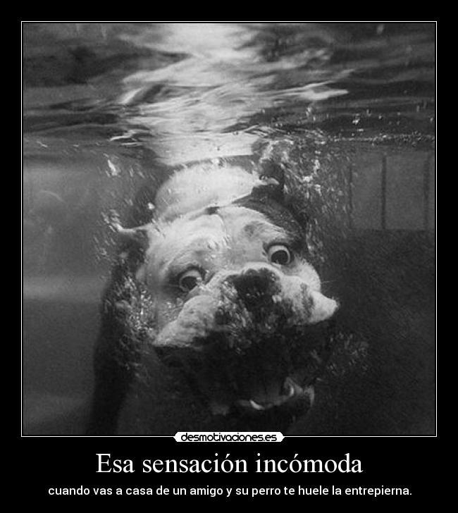 Esa sensación incómoda - 
