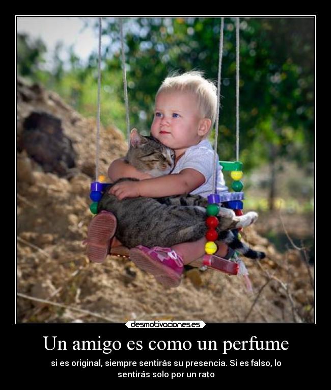 carteles expeciencia desmotivaciones