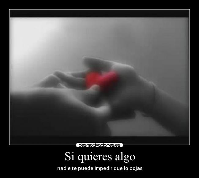 carteles sira desmotivaciones