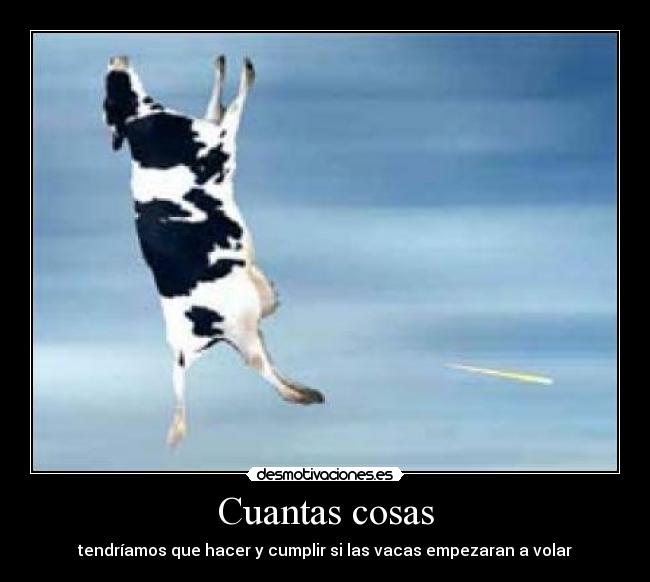 Cuantas cosas -