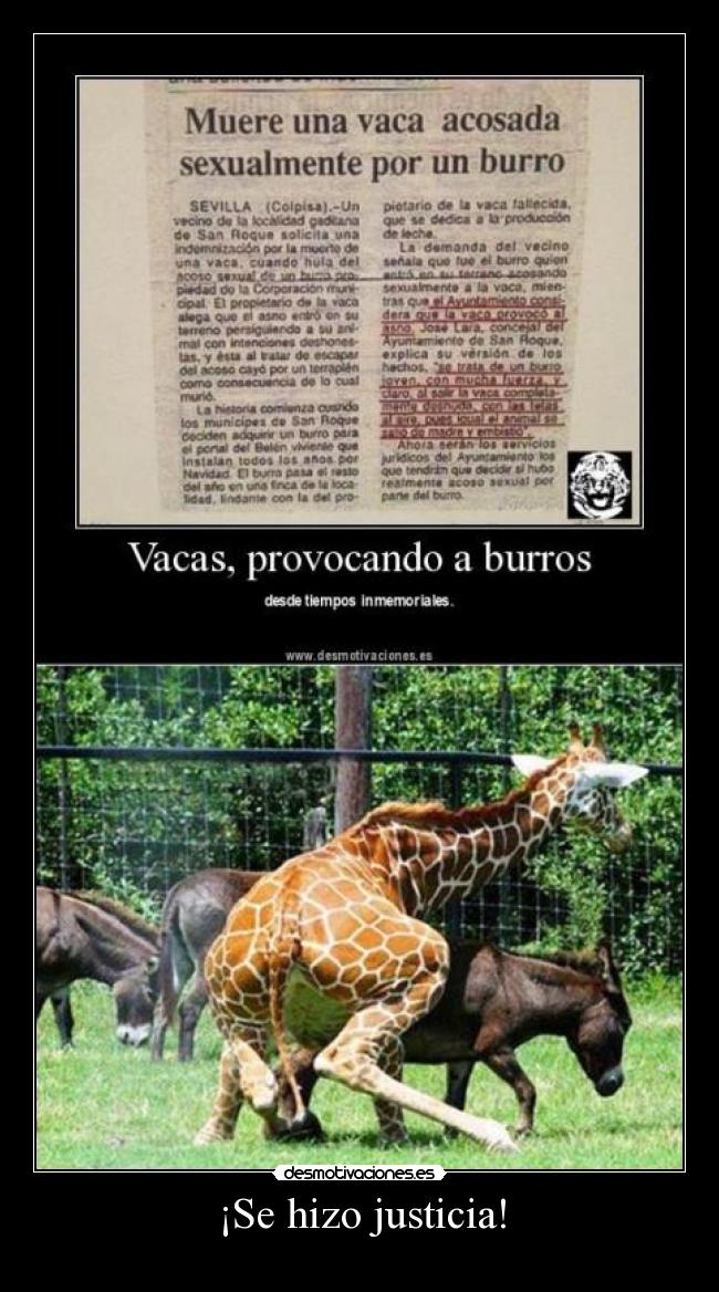 carteles killerclown semental desmotivaciones