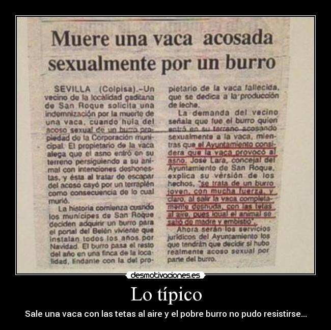 Lo típico - Sale una vaca con las tetas al aire y el pobre burro no pudo resistirse...