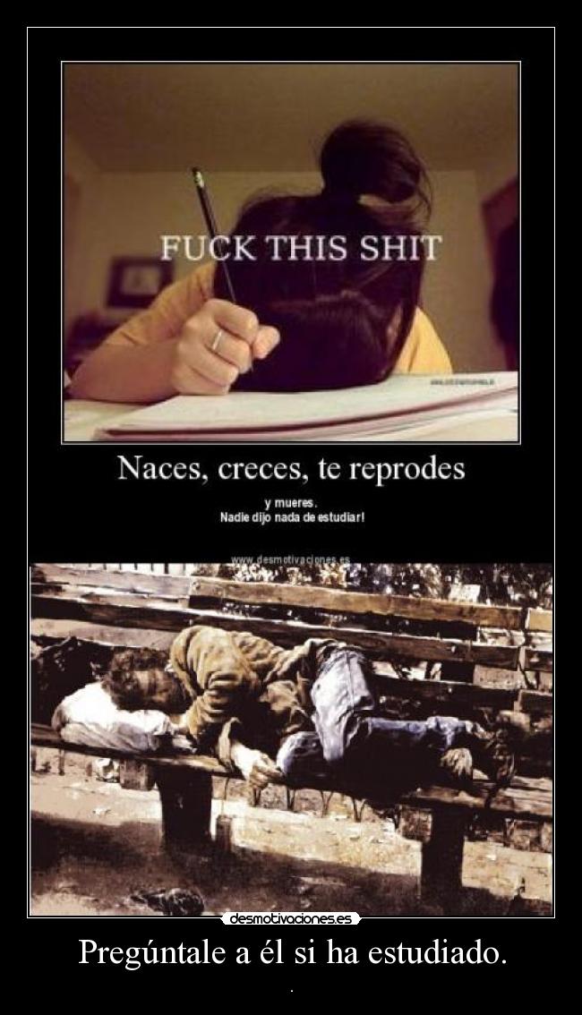 Pregúntale a él si ha estudiado. -