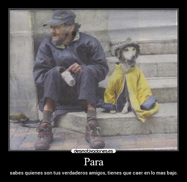 carteles refiero que solo los amigos estan malas andreszambrano desmotivaciones