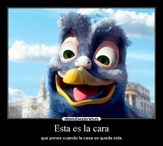Esta es la cara - que pones cuando la casa se queda sola.