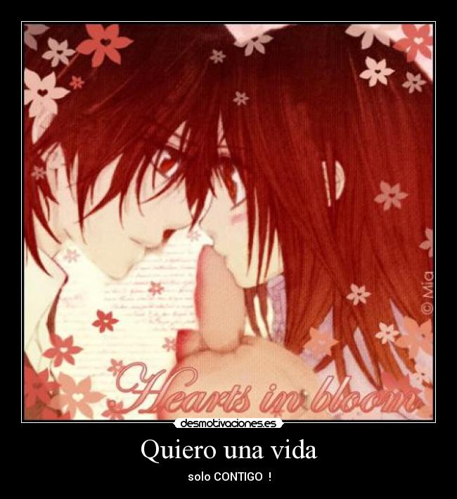 Quiero una vida - 