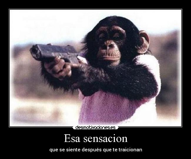 Esa sensacion - que se siente después que te traicionan