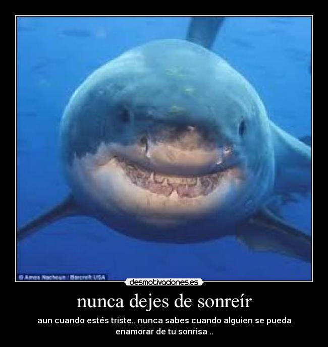 nunca dejes de sonreír - aun cuando estés triste.. nunca sabes cuando alguien se pueda
enamorar de tu sonrisa ..