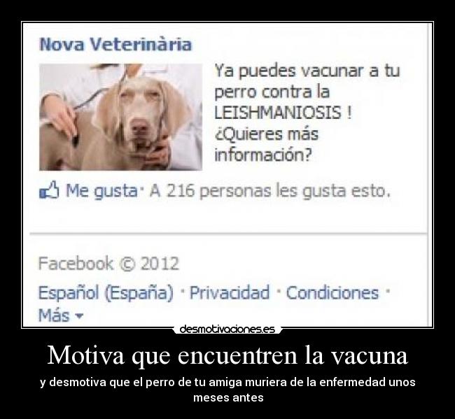 carteles leishmaniosis mejor amigo vacuna desmotivaciones