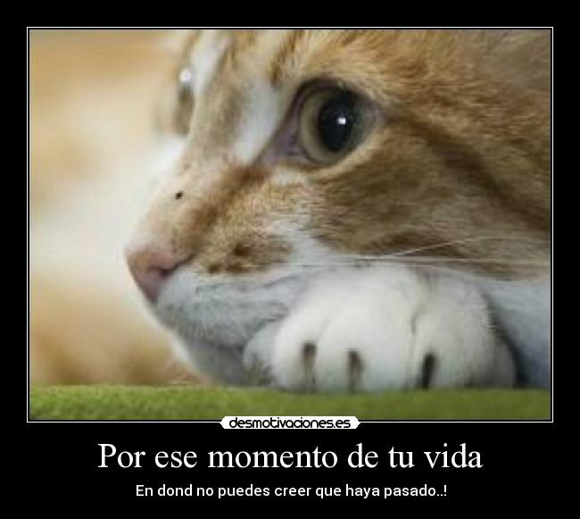 Por ese momento de tu vida - En dond no puedes creer que haya pasado..!