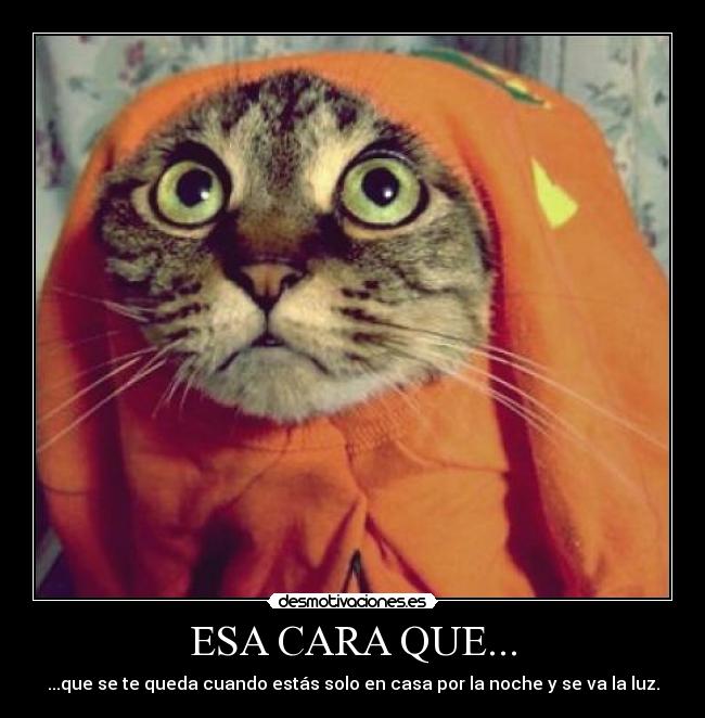 ESA CARA QUE... - ...que se te queda cuando estás solo en casa por la noche y se va la luz.