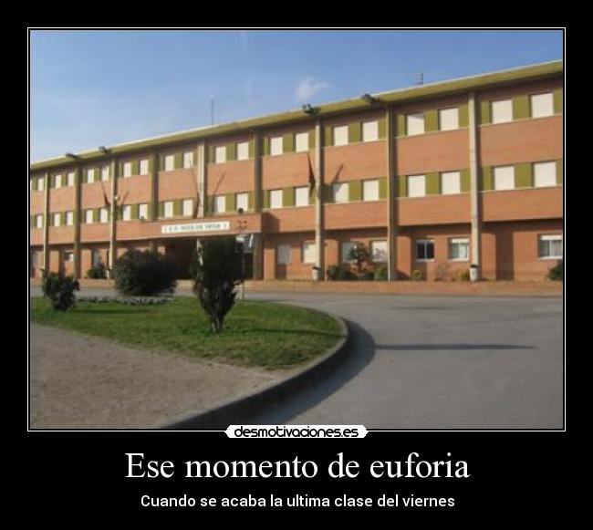 Ese momento de euforia -