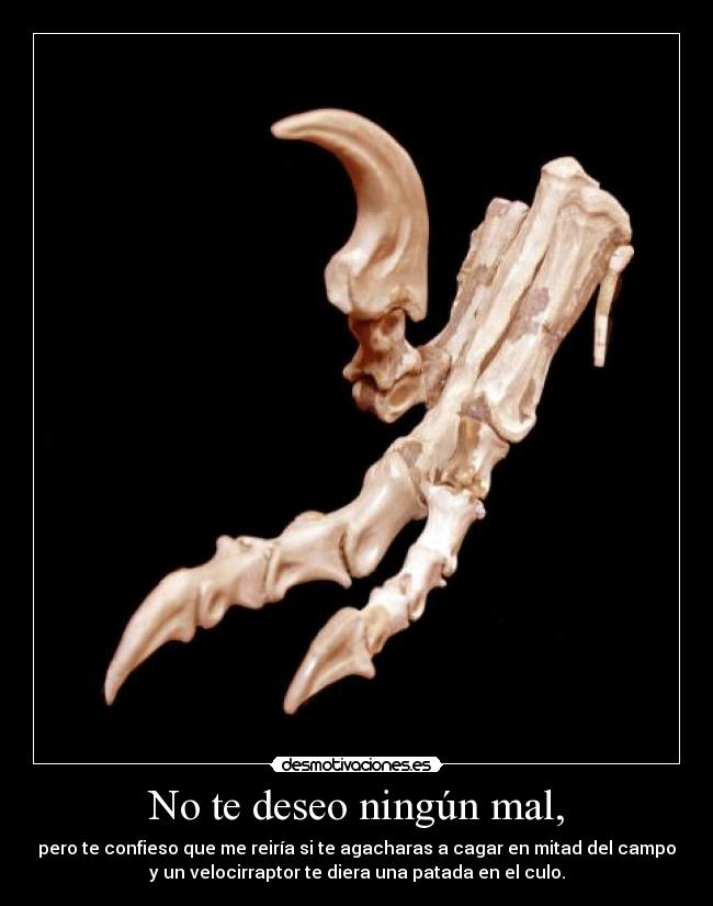 No te deseo ningún mal, - pero te confieso que me reiría si te agacharas a cagar en mitad del campo
y un velocirraptor te diera una patada en el culo.