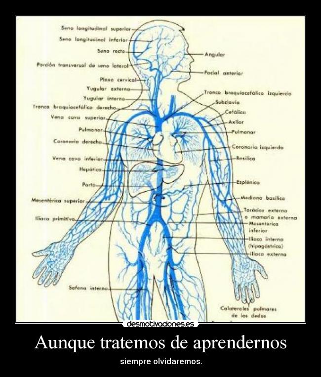 Aunque tratemos de aprendernos -