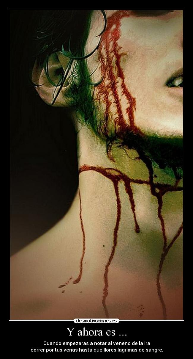 carteles ahora desmotivaciones