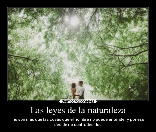 carteles naturaleza lacuna dospunttocero dohkodelibra ahora que soy red bien podria cerrar cuenta sldnalk desmotivaciones