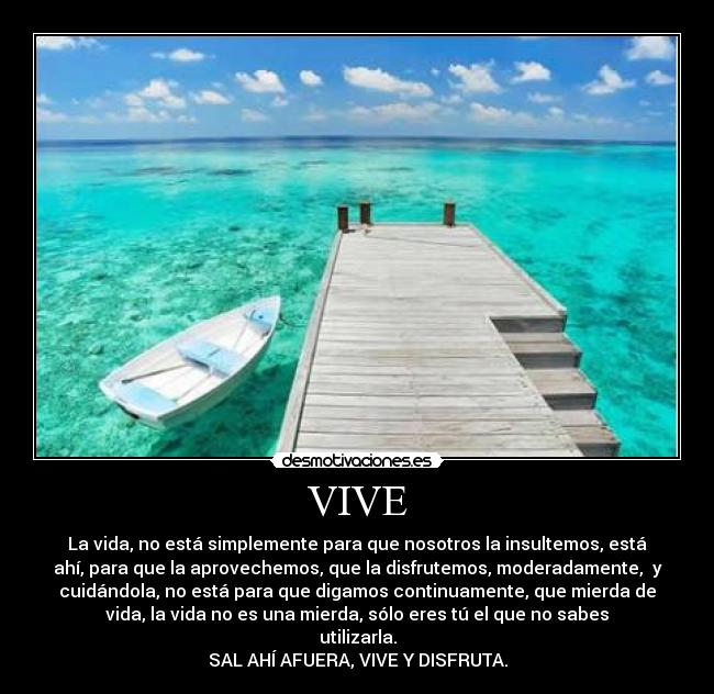 carteles joder disfruta desmotivaciones