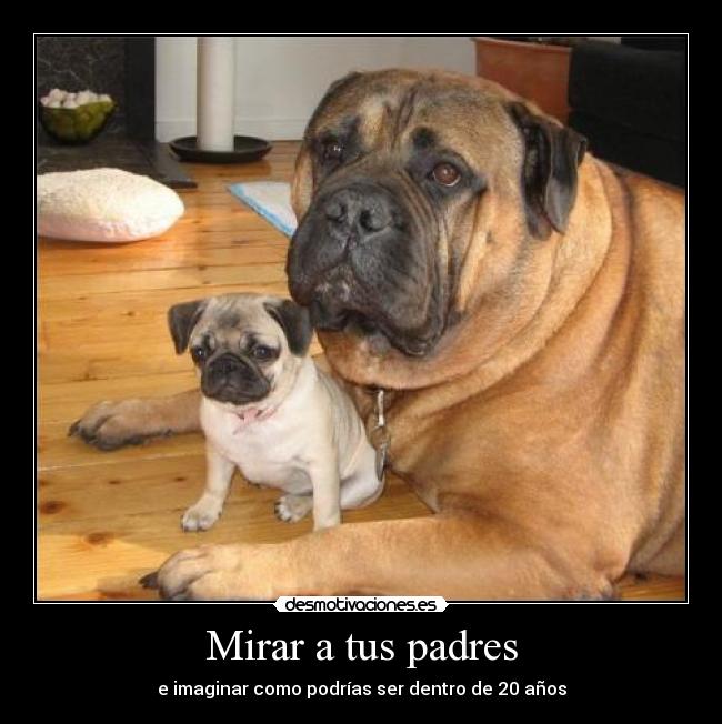 Mirar a tus padres - 