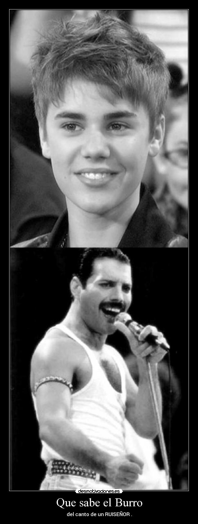 Que sabe el Burro - del canto de un RUISEÑOR .