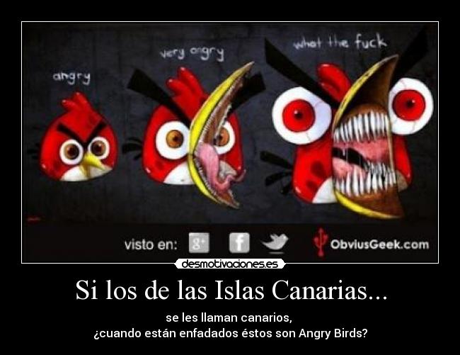 Si los de las Islas Canarias... - se les llaman canarios, 
¿cuando están enfadados éstos son Angry Birds?
