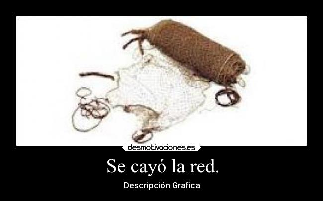 Se cayó la red. -