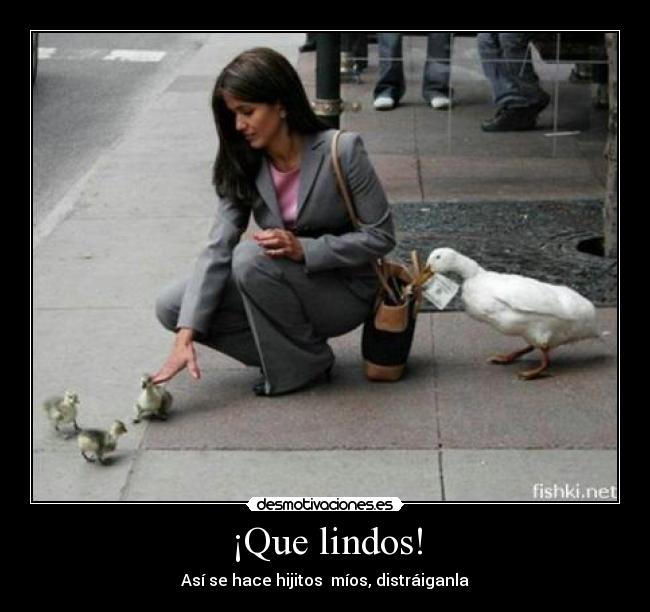 carteles chistegrafico desmotivaciones