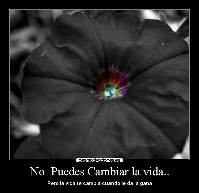 No Puedes Cambiar la vida.. - Pero la vida te cambia cuando le da la gana
