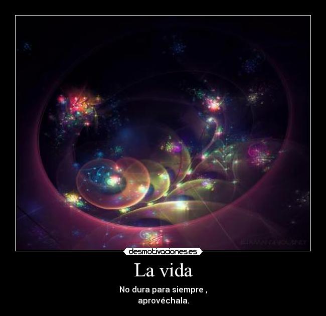 La vida - No dura para siempre ,
aprovéchala.