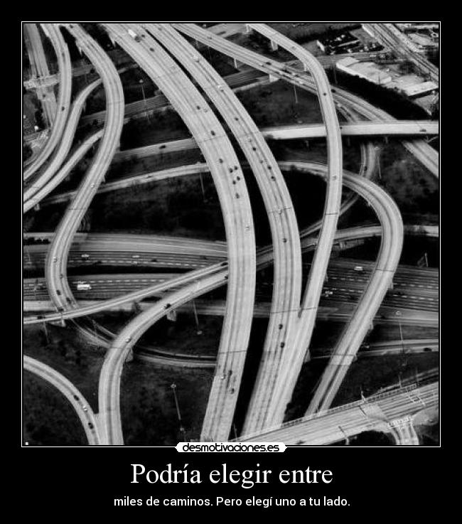 Podría elegir entre - 