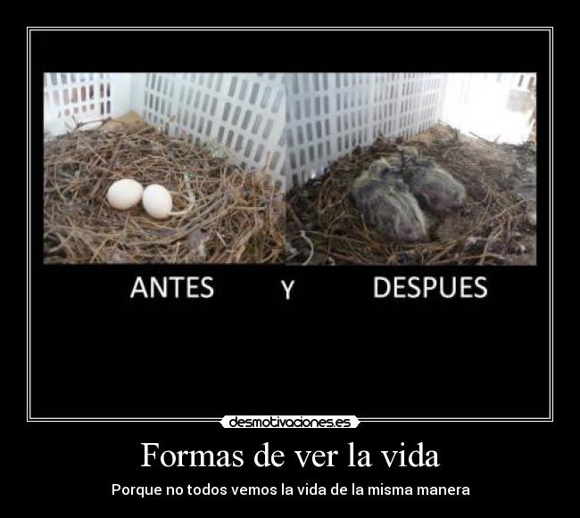 Formas de ver la vida - Porque no todos vemos la vida de la misma manera