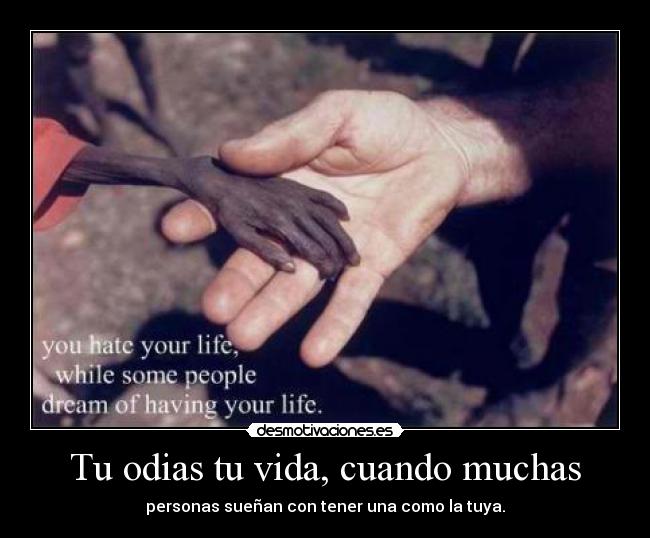 Tu odias tu vida, cuando muchas -