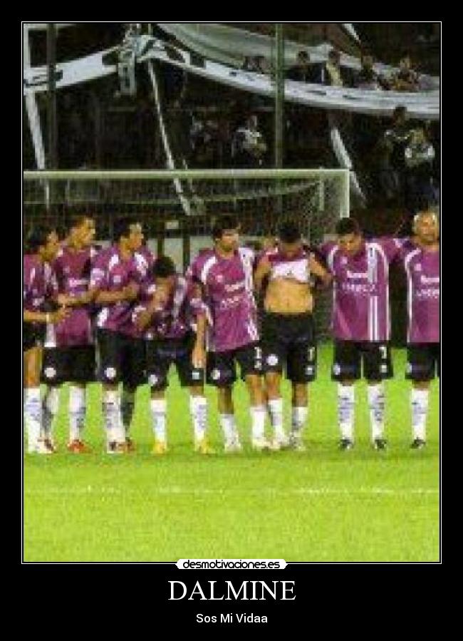 DALMINE - Sos Mi Vidaa