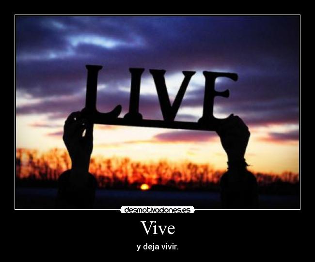 Vive -