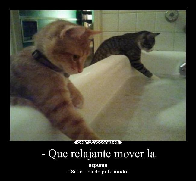 - Que relajante mover la - espuma.
+ Si tío..  es de puta madre.