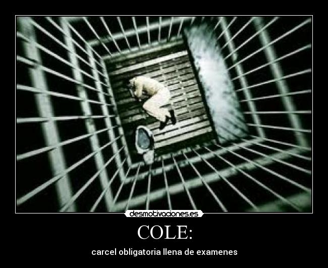 COLE: - carcel obligatoria llena de examenes