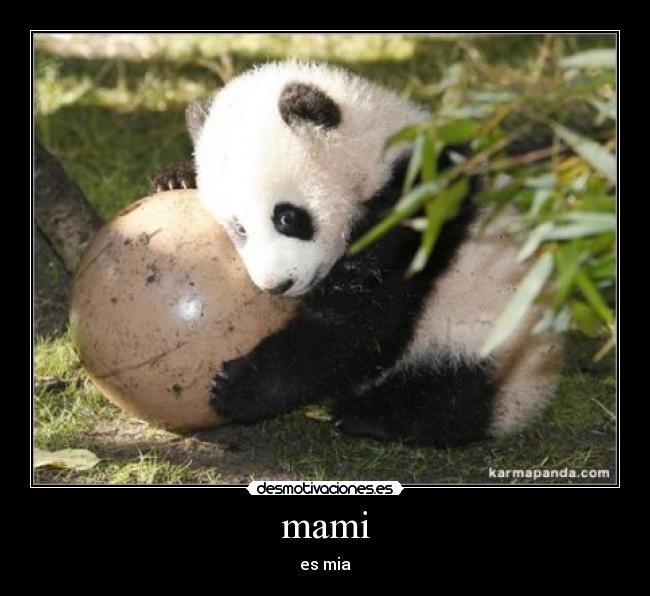 carteles oso desmotivaciones